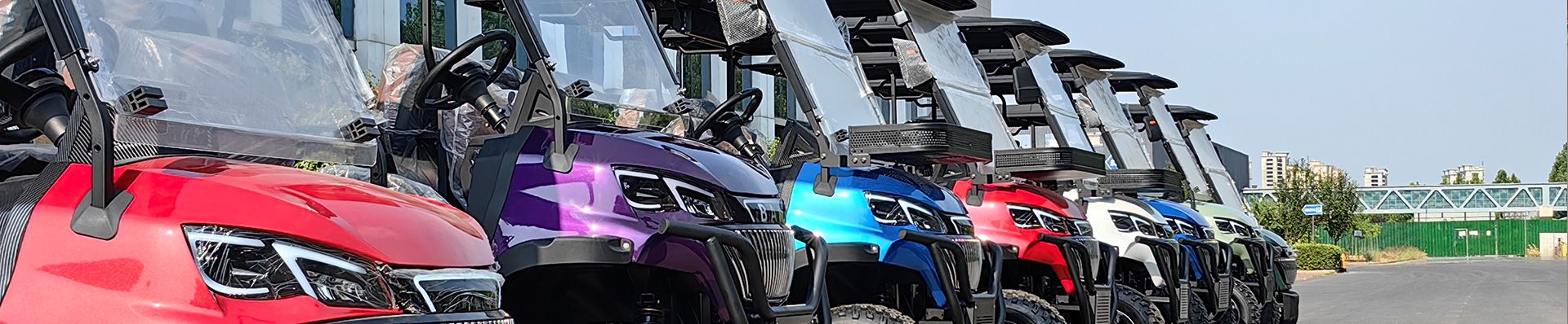 BAK Electric Golf Carts